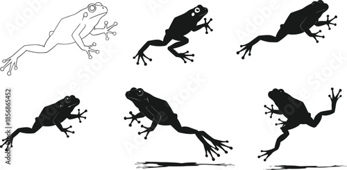 Frog jump motion vector, animal leap sequence, silhouette illustration, frog biomechanics, black and white frog movement for animation and biology