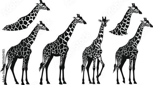 Surreal giraffe illustration, black and white vector art, whimsical animal design, floating giraffes concept, abstract wildlife silhouette for creative projects