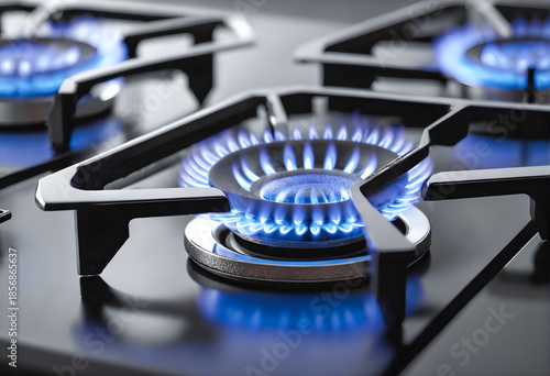 Domestic kitchen gas stove