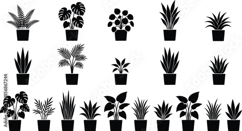 PrintCollection of various indoor houseplant silhouettes in pots, featuring monstera, ferns, and palms for modern interior design, botanical vector illustrations.