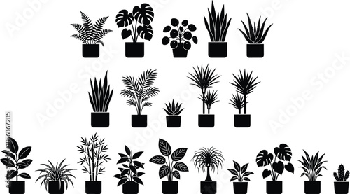 PrintLarge collection of various indoor houseplant silhouettes in pots, including monstera, palm, and cactus, for modern interior design vector illustrations,
