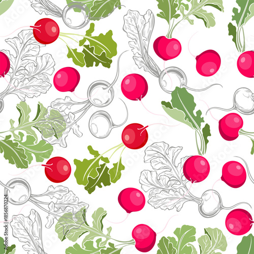 Radishes. Seamless pattern. Colored silhouettes and monochrome contours on white. Vector food background. Perfect for design templates, wallpaper, wrapping, fabric, print and textile.