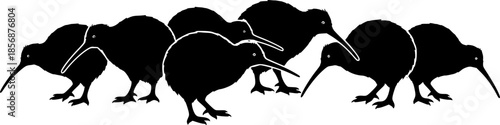 Set of kiwi bird silhouette, black and white silhouette, vector and illustration
