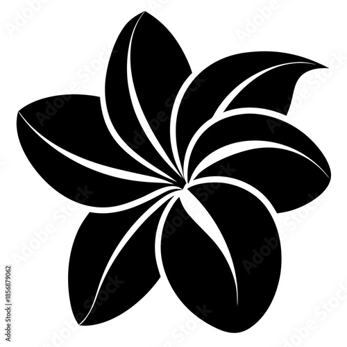  frangipani vector