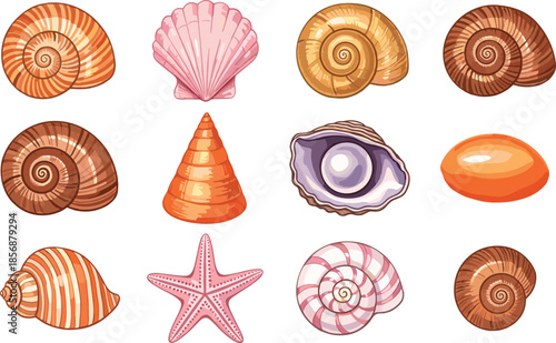 Colorful Collection of Seashells, Starfish, and Marine Shell Shapes Isolated on White Background, Hand Drawn Vector Illustration