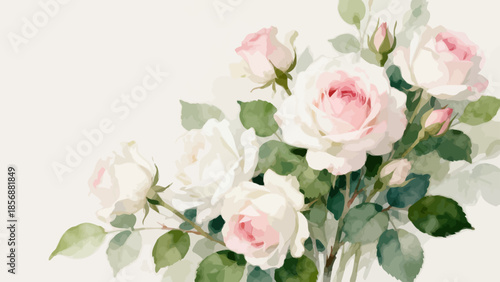 Watercolor painting of pink and white roses