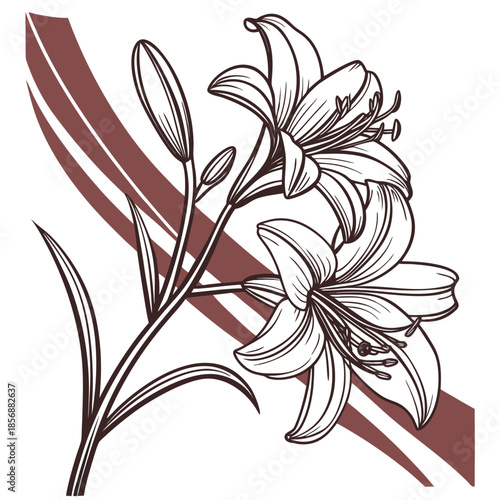 Elegant floral arrangement featuring detailed lily illustrations with graceful stems and brown linear accents creating a refined botanical artwork