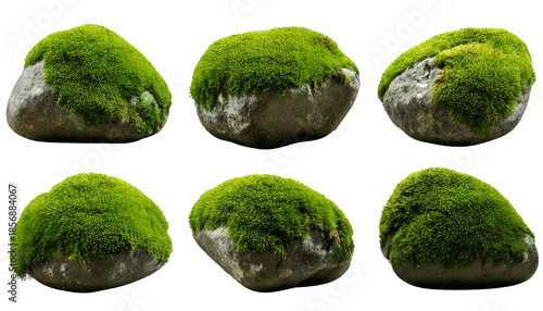 Textured grey stones, covered in lush green moss, isolated on a transparent background, cuto.png