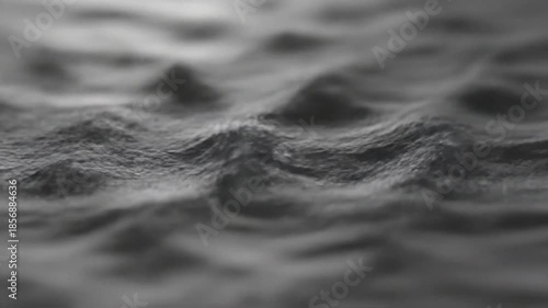 Rippled Surface: An abstract monochrome image captures the subtle undulations and textures of a rippled surface. The play of light and shadow create a sense of depth and mystery.