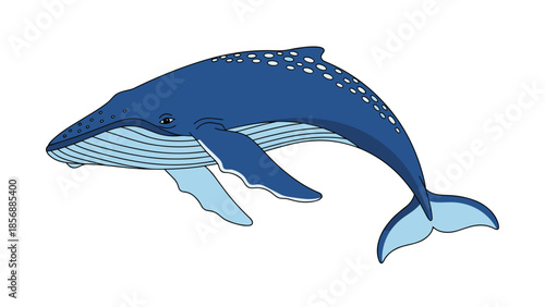 Majestic Humpback Whale Vector Illustration. Gentle Giant Isolated on Transparent Background for Children's Books, Educational Materials, and Marine Life Conservation Projects.