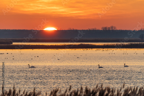 Sonnenuntergang am Bodden vor Zingst.
