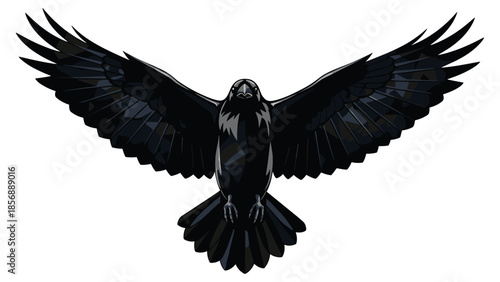 Black raven in flight with outstretched wings on white background