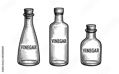 Vintage vinegar bottles in retro etching style with label design