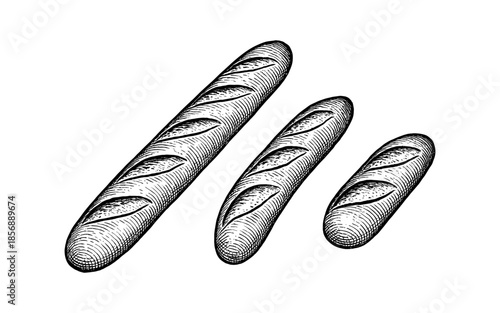 Vintage engraving of bread: three rustic baguettes on white background