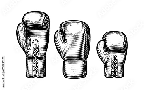 Vintage boxing gloves drawing in retro style with detailed engraving