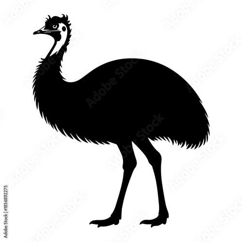 Emu Bird Silhouette Illustration – Australian Wildlife Animal Vector Art in Black and White Style, emu, bird, ostrich, silhouette, australia, wildlife, animal, black, vector, illustration