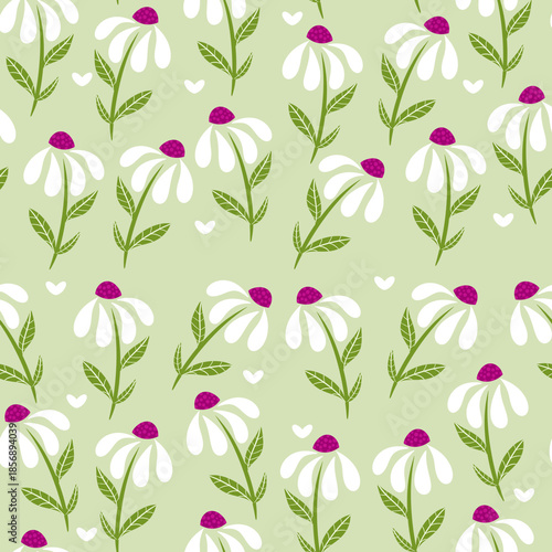 Seamless floral pattern with daisy flowers
