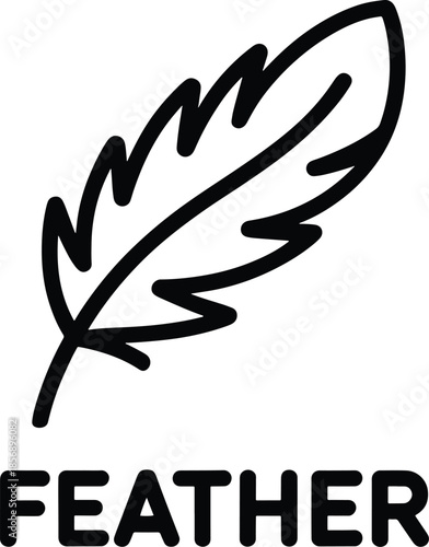 Feather Illustration Graphic Isolated on White