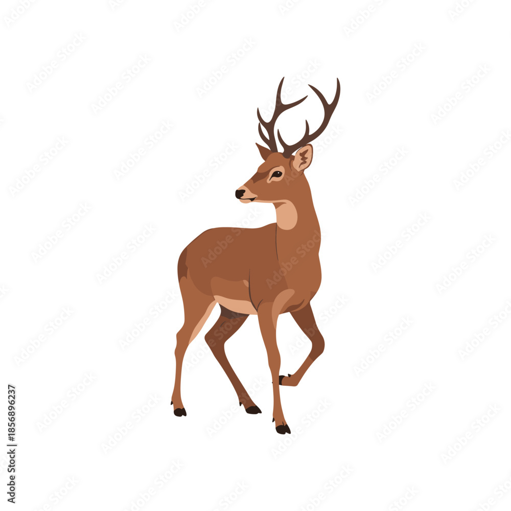 Fototapeta premium Majestic brown deer with antlers standing gracefully.