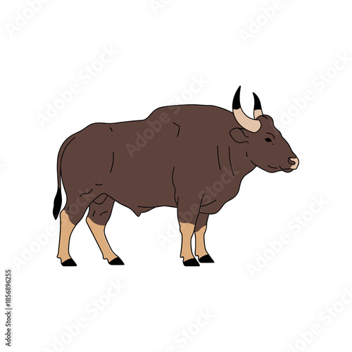 Majestic Gaur Bull Stands Proudly in Profile Showcasing Its Strength.
