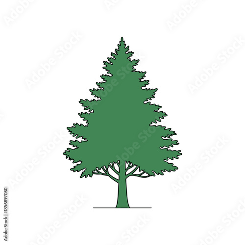 Simple green pine tree vector illustration isolated on white.