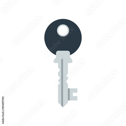 Simple illustration of a single metal key with a dark grey head.