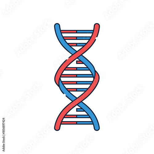Stylized DNA Double Helix Strand with Colorful Base Pairs.