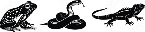 Black and white line art of three different reptiles including a frog and snake plus a lizard