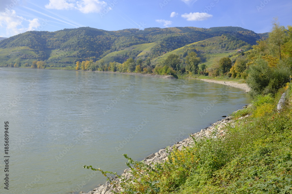 Obraz premium The River Danube in fall with green hillsides and blue sky, near Durnstein in Austria