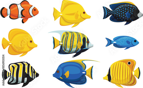 Collection of colorful tropical reef fish vectors including clownfish angelfish and tang species isolated on white background for aquarium and ocean designs.
