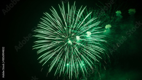 Vibrant green firework exploding in the night sky with bright streaks and sparks