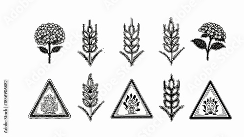Elegant collection of monochrome botanical illustrations, featuring detailed vintage floral motifs, grain stalks, and decorative plant emblems within triangular frames
