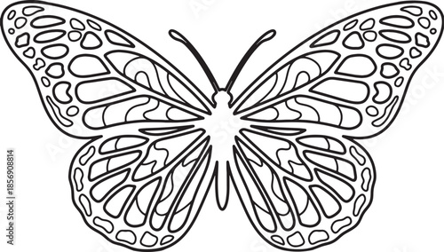 Black and white line drawing of a butterfly with detailed wing patterns