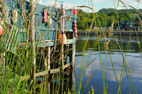 fishing nets in the water