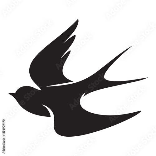 Bird Vector  