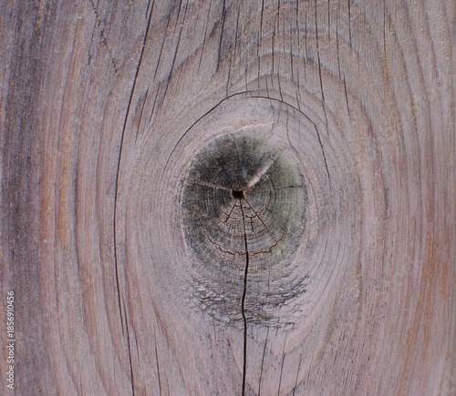 old wood texture