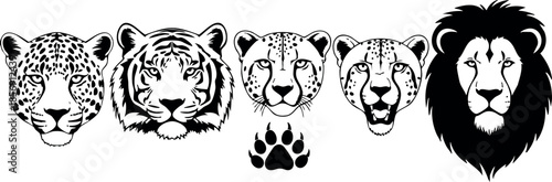 Wild big cat heads with paw print silhouette vector design in black and white style