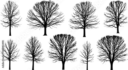 Seamless silhouette forest landscape with multiple rows of pine trees