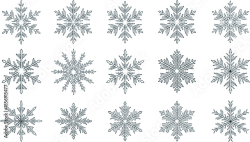 Collection of different form snowflakes vector icon. Winter frost crystal snowflake icon