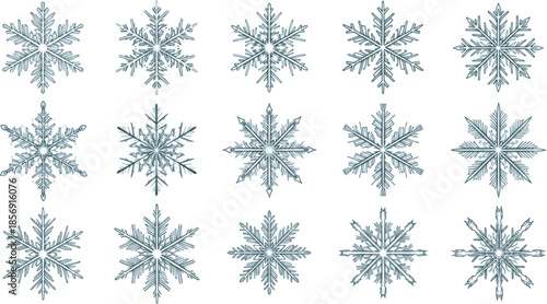 Collection of different form snowflakes vector icon. Winter frost crystal snowflake icon
