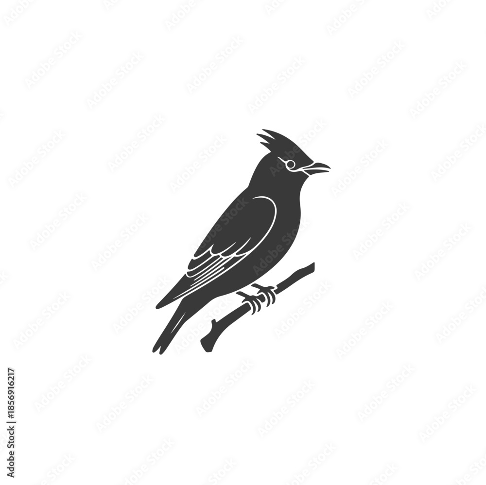 Obraz premium blackbird on a branch