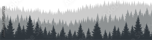 Seamless silhouette forest landscape with multiple rows of pine trees