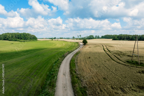 Φωτογραφία Aerial view shows a winding dirt road between mown grass and golden grain fields with tractor tracks, a utility pole, a small tree, and soft midday light under cumulus clouds