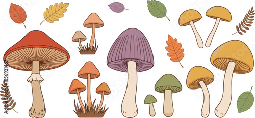 Autumn mushroom collection with forest fungi and falling leaves cute nature illustration set isolated