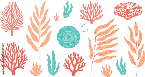 Coral reef and seaweed elements set underwater ocean plants marine botanical illustration collection isolated
