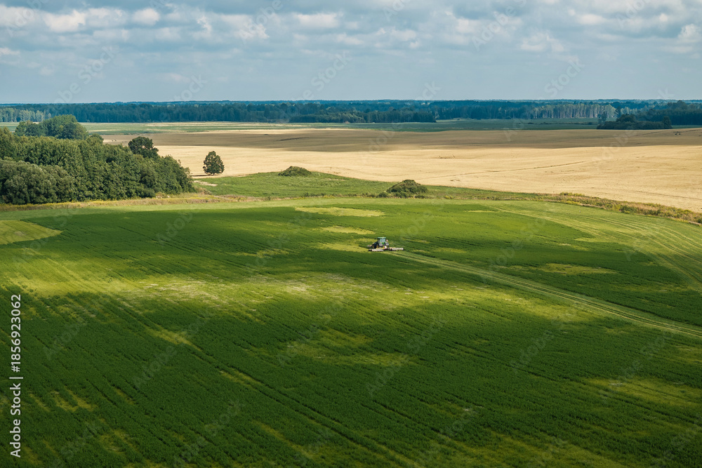 Obraz premium Aerial view shows a lone tractor maintaining a vast field, bordered by golden grain and a dark tree line, rows curving toward the horizon under drifting cloud shadows.