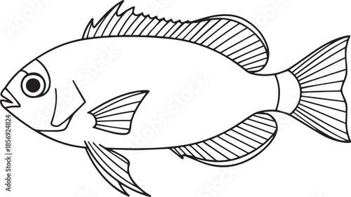 silhouette of clean vector of Damselfish isolated on white background