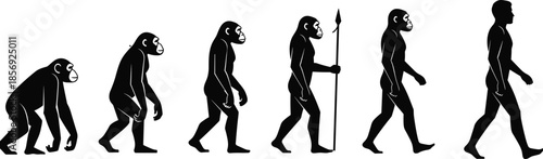 Human evolution silhouette set, from ape to modern man walking, biological progress concept, isolated on white, cad drawing flat vector illustration