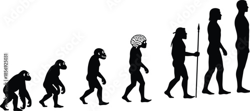 Evolution silhouettes from ape to modern man, brain development and spear, biological concept, isolated on white, cad drawing flat vector illustration