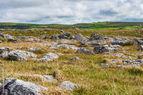 The Burren in County Clare West of Ireland. Part of this unique rock structure forms the Burren National Park Land